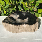Bark Rimmed Petrified Wood Bowl