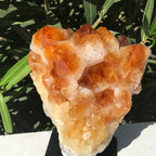 Crystal Topped Citrine