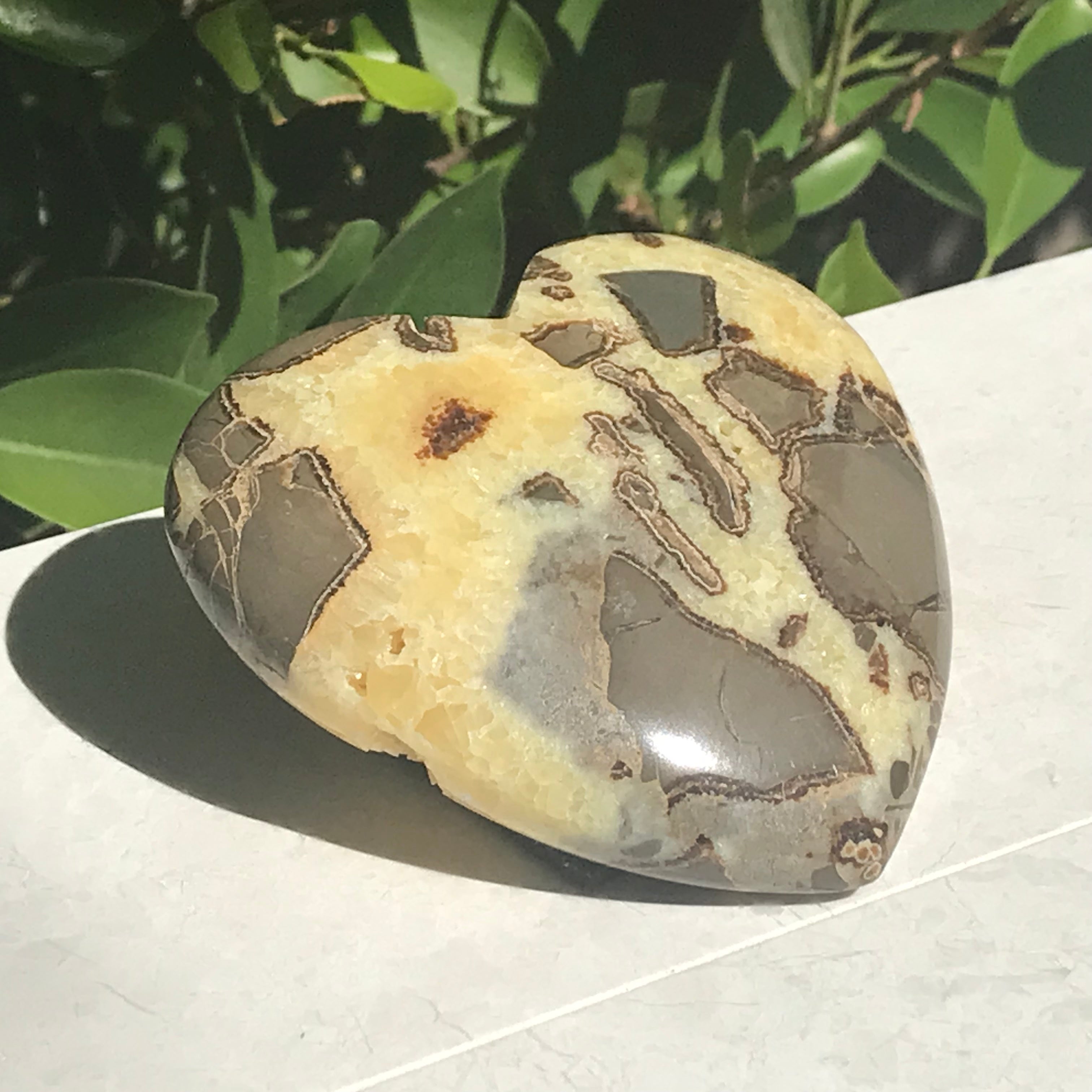 Double Sided Septarian Heart
