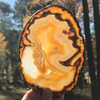 Gleaming Translucency Agate Slice