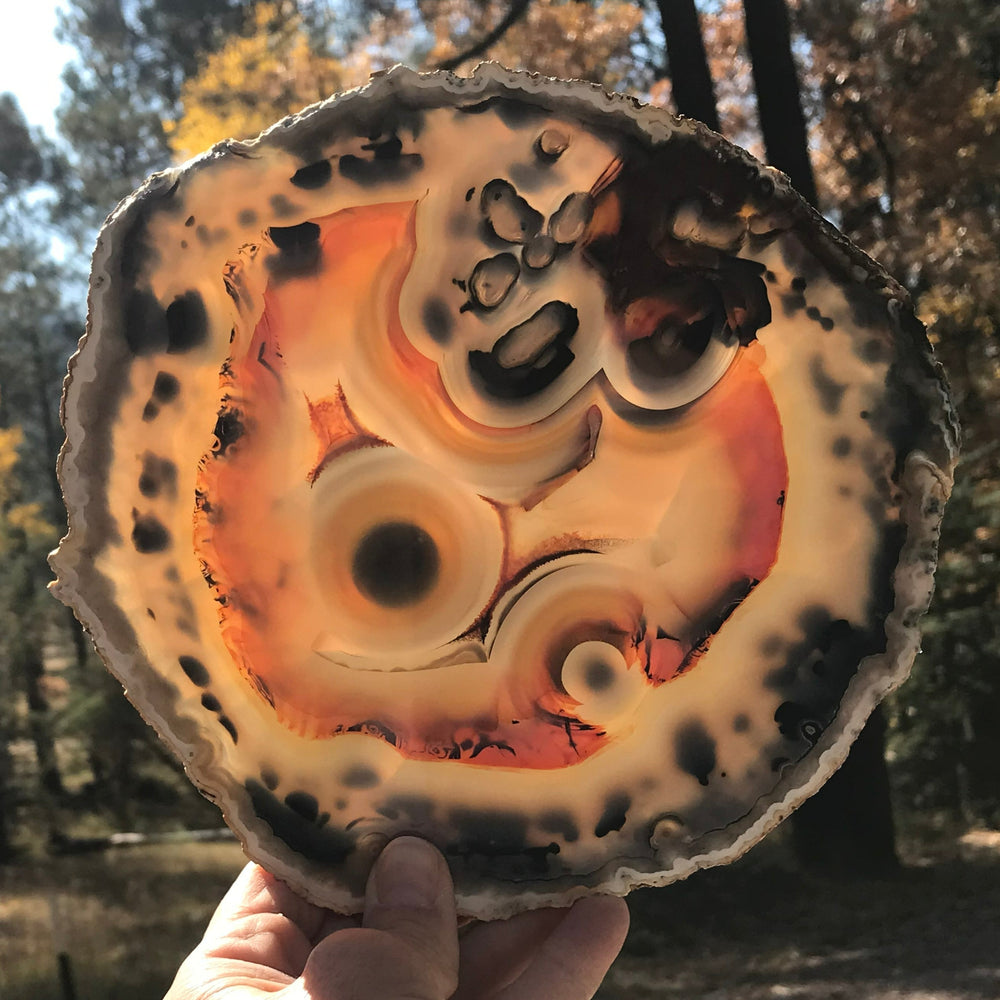 Stunningly Beautiful Agate Slice