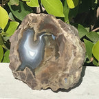 Blue Banded Dugway Geode