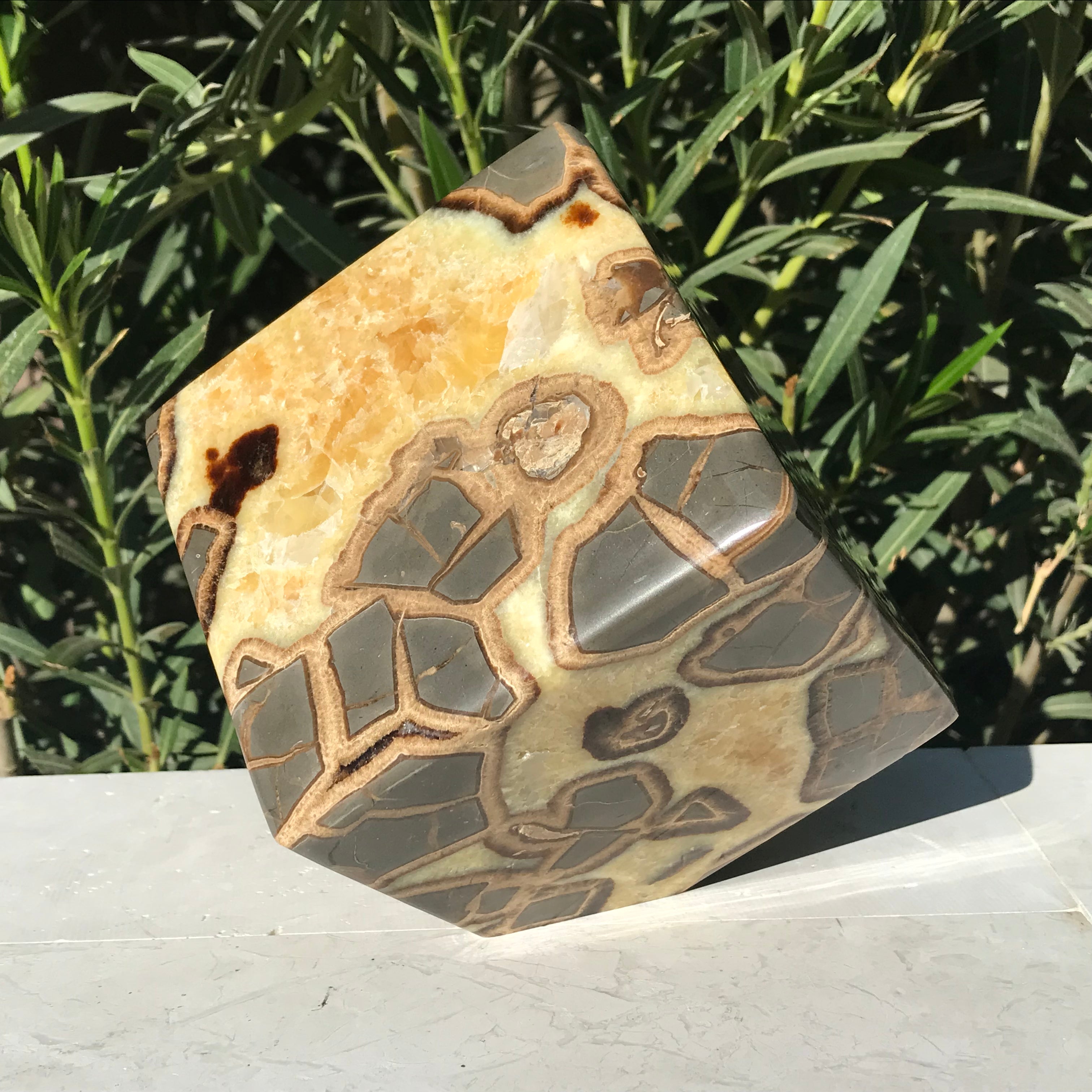 Standing Septarian Cube
