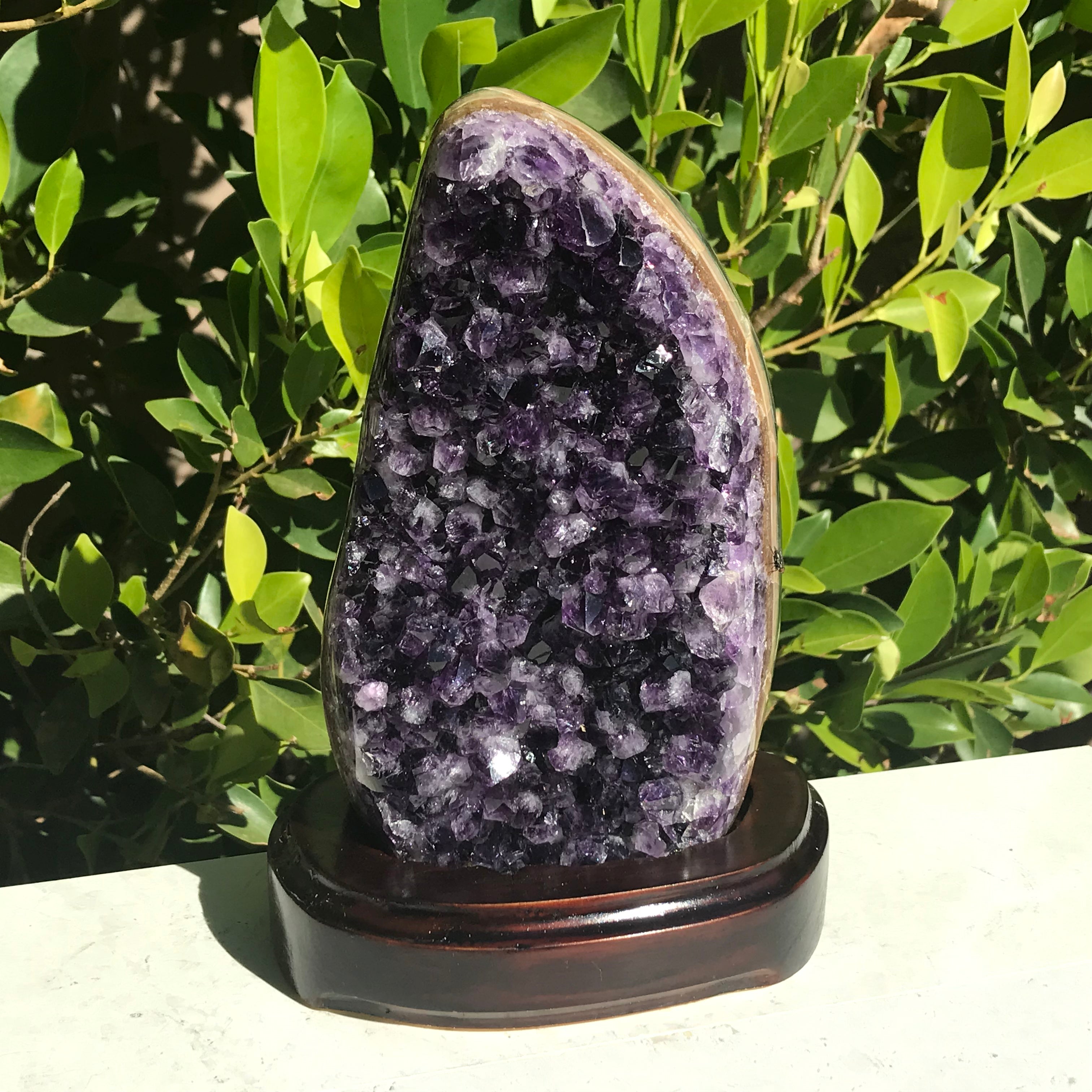 Classic Amethyst Freeform