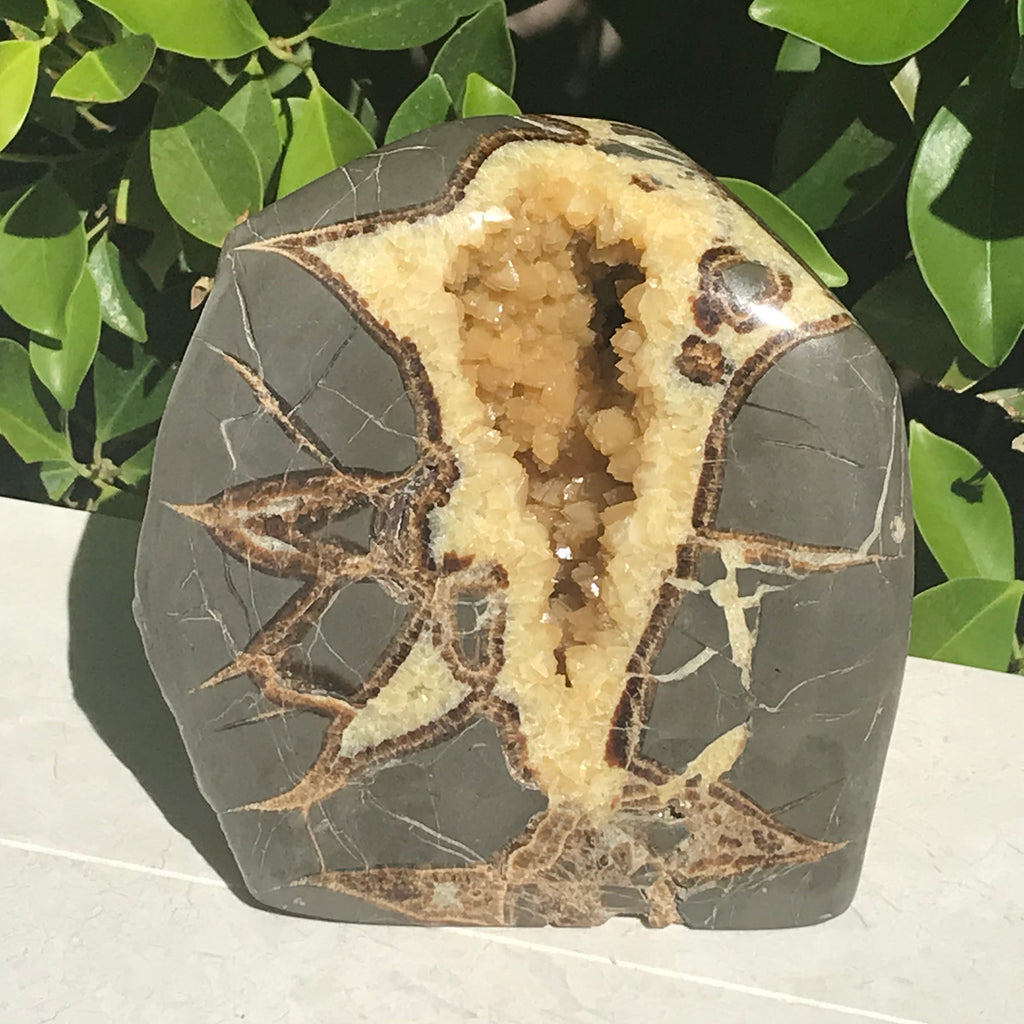 Septarian Contraction Contemporary Septarian Nodule – Rockology.net