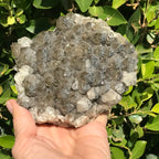 Sparkling Pine Cone Quartz Cluster
