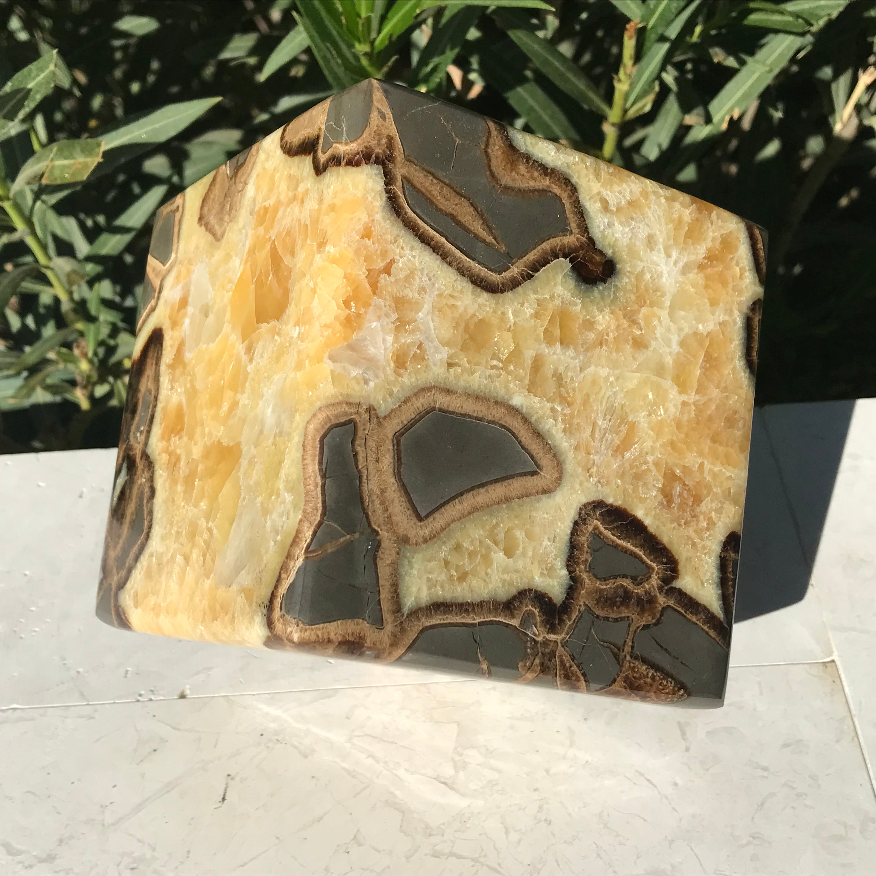 Standing Septarian Cube