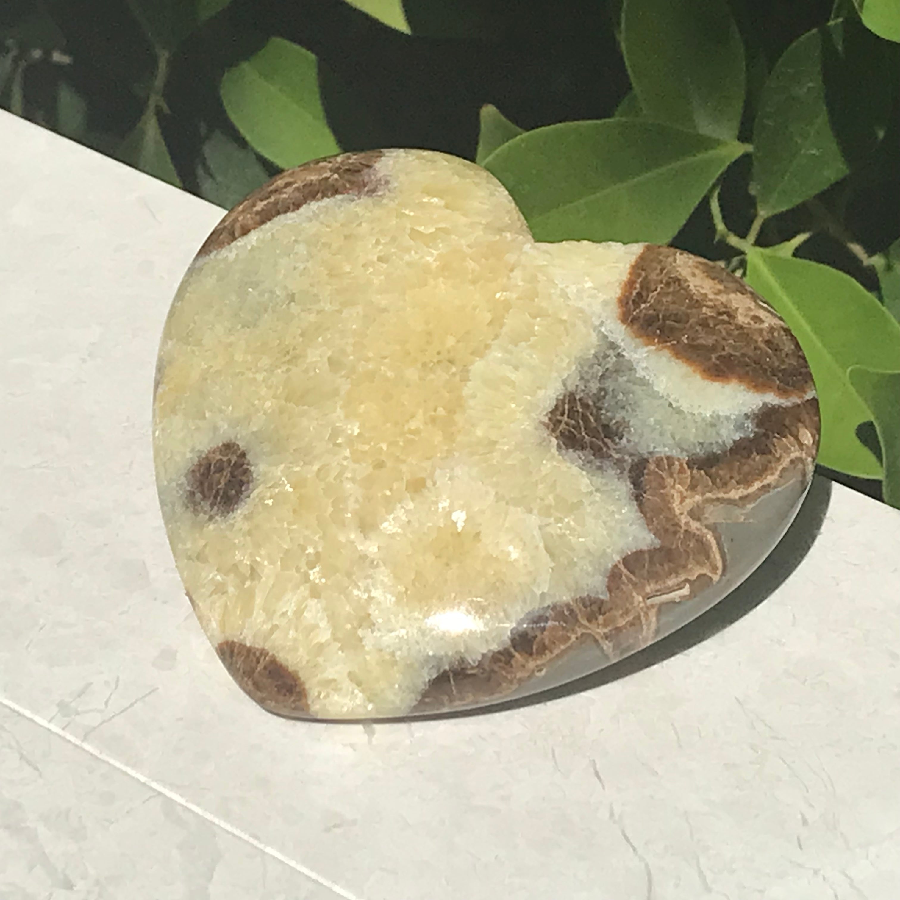 Utahn Septarian Heart