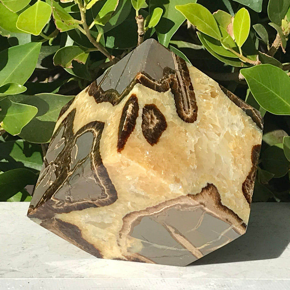 Polished Septarian Cube