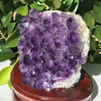 Brazilian Amethyst Cluster