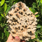 Pine Cone Quartz Cluster
