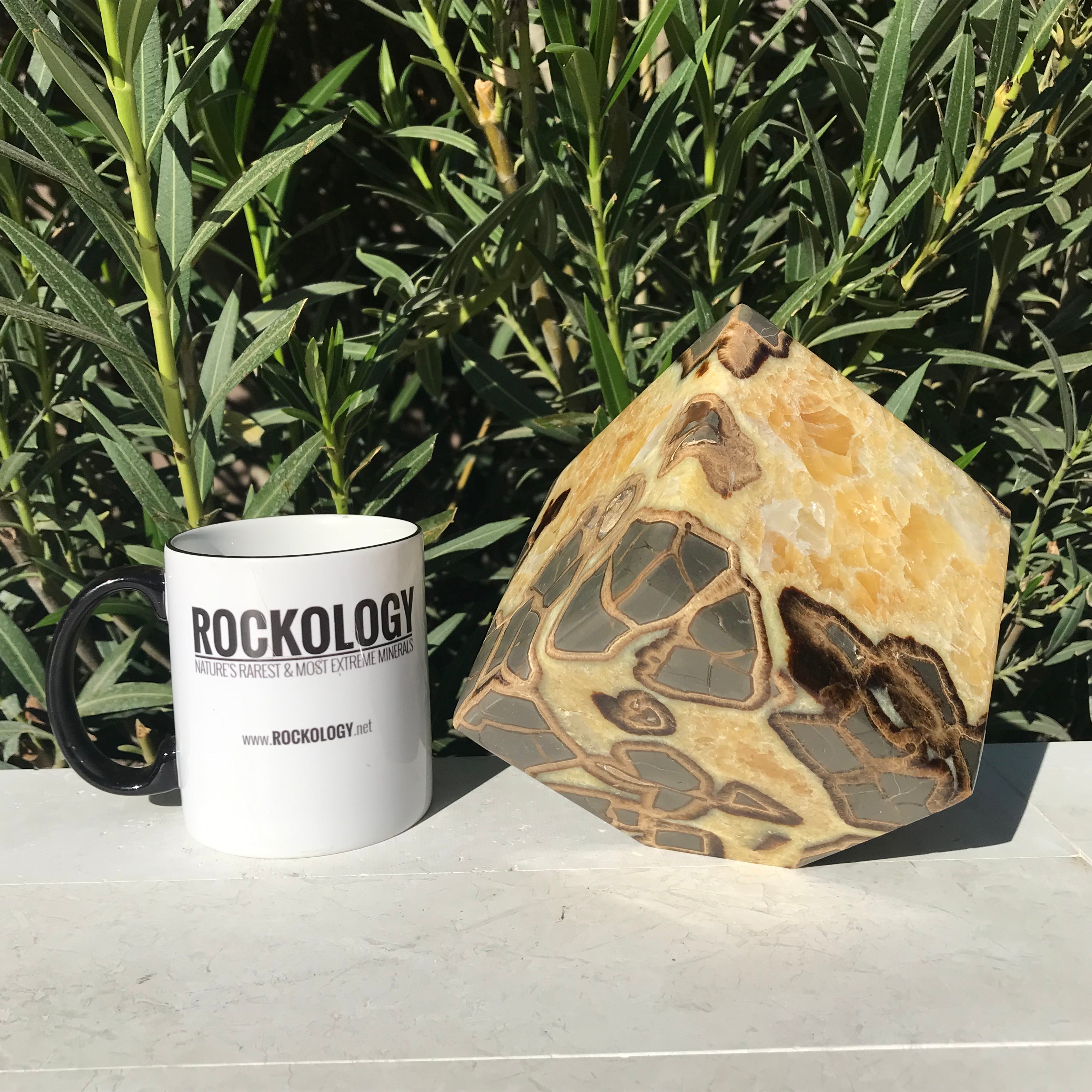 Standing Septarian Cube