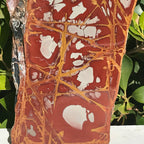 Noreena Jasper Slab