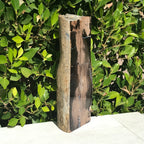 Half Round Blue Forest Petrified Wood Tree Limb
