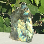 Brilliant Labradorite Freeform