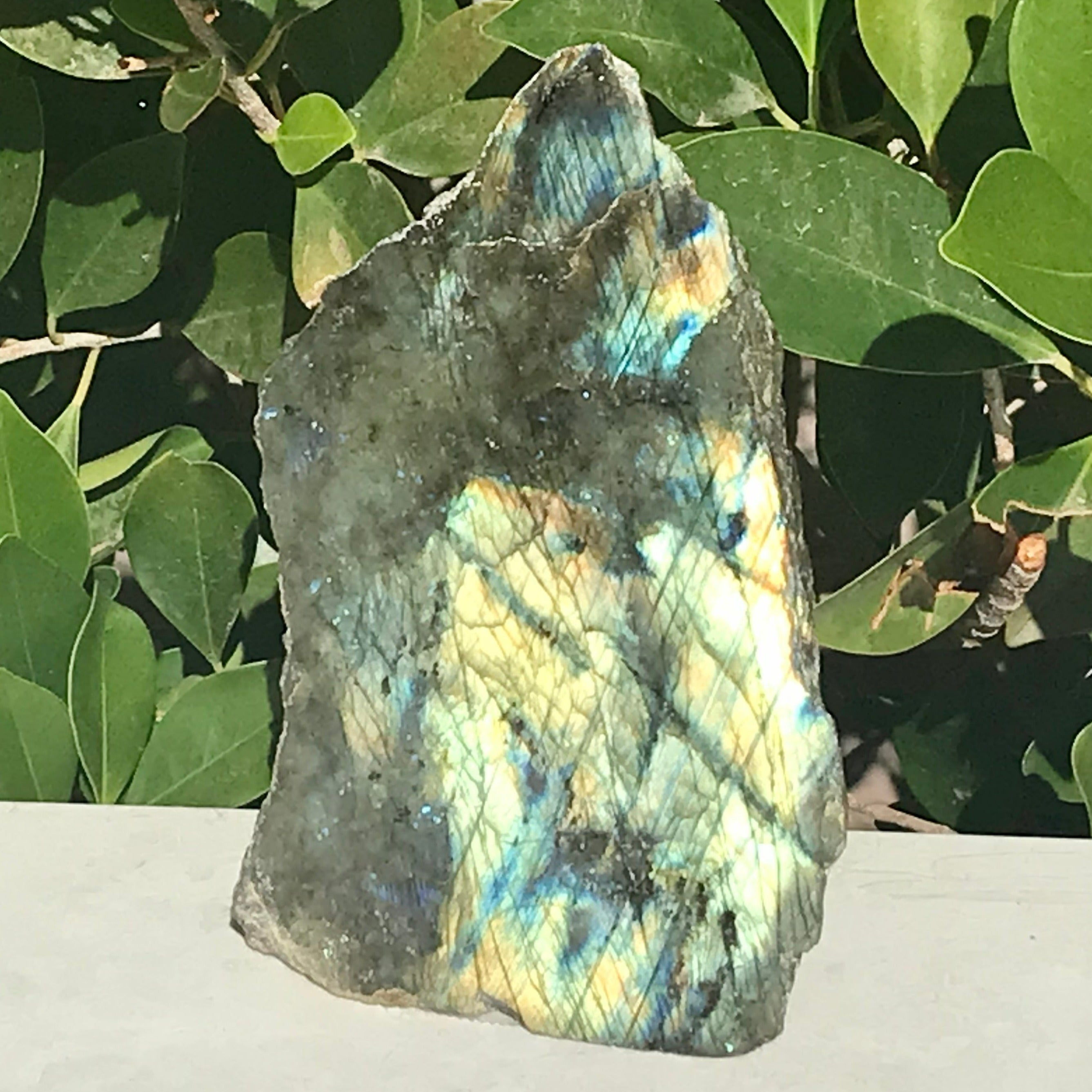 Brilliant Labradorite Freeform
