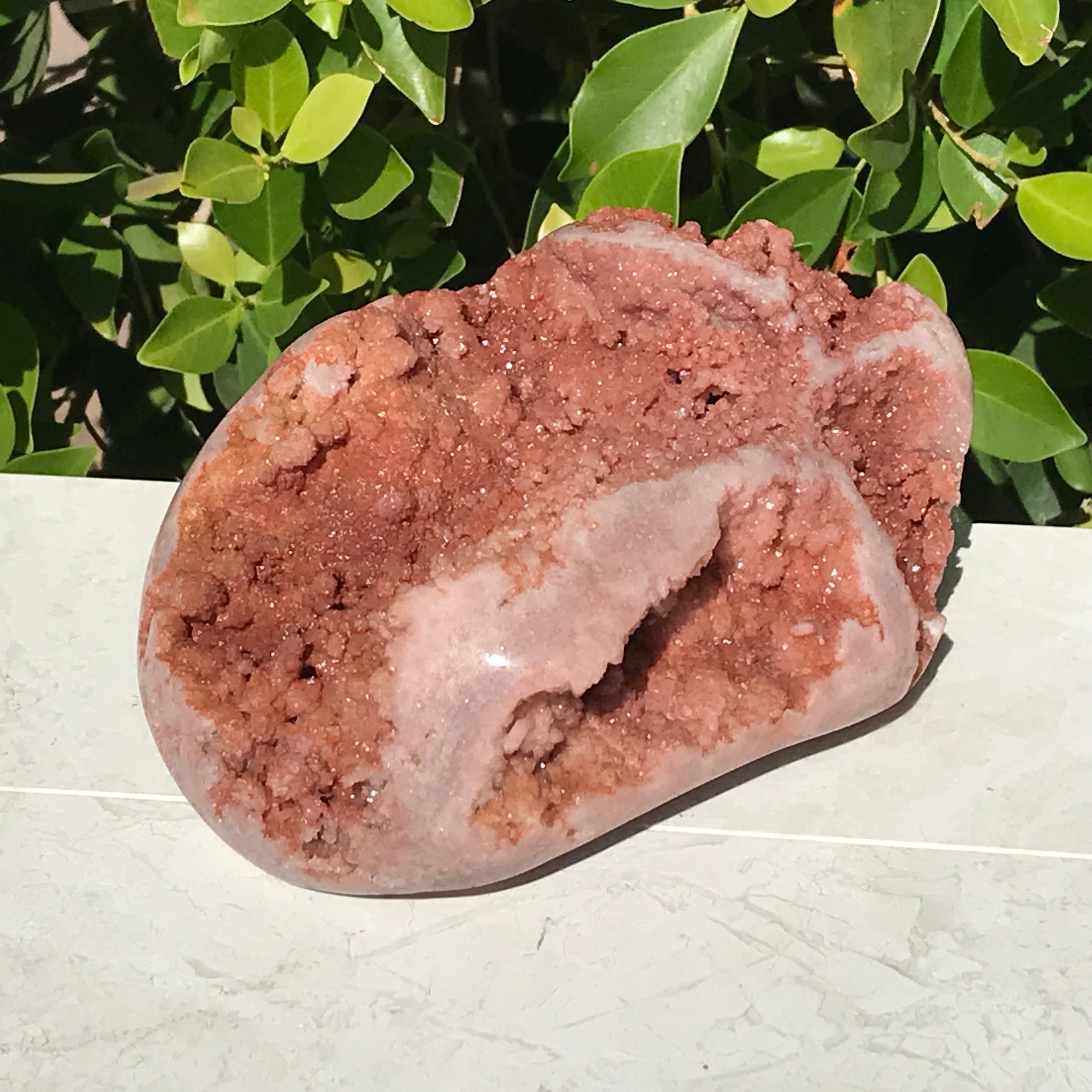 Brazilian Rose Plate
