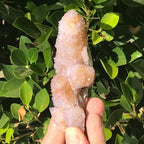 Towers of Crystals Cactus Quartz Cluster