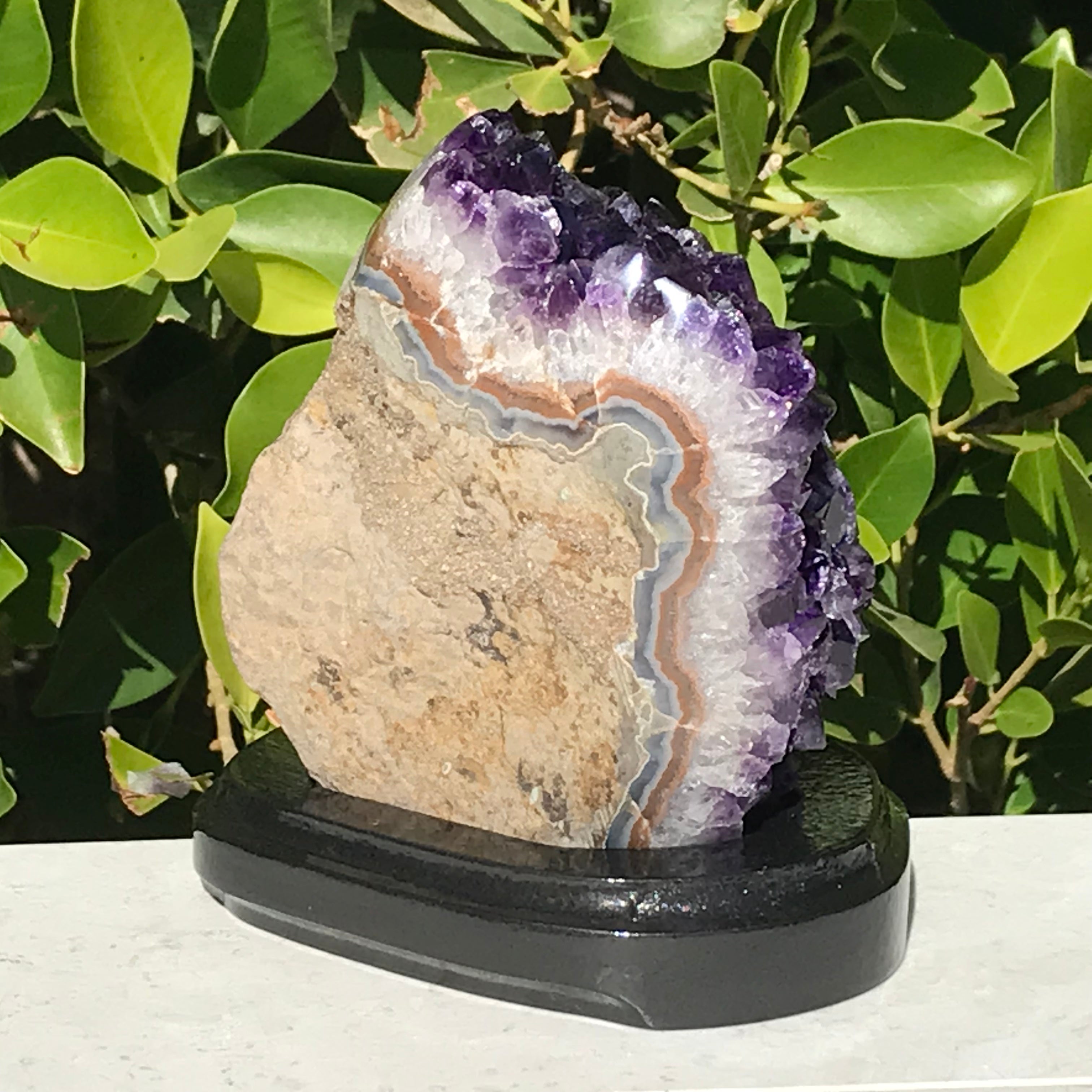 Stalactite Eyed Amethyst Cluster