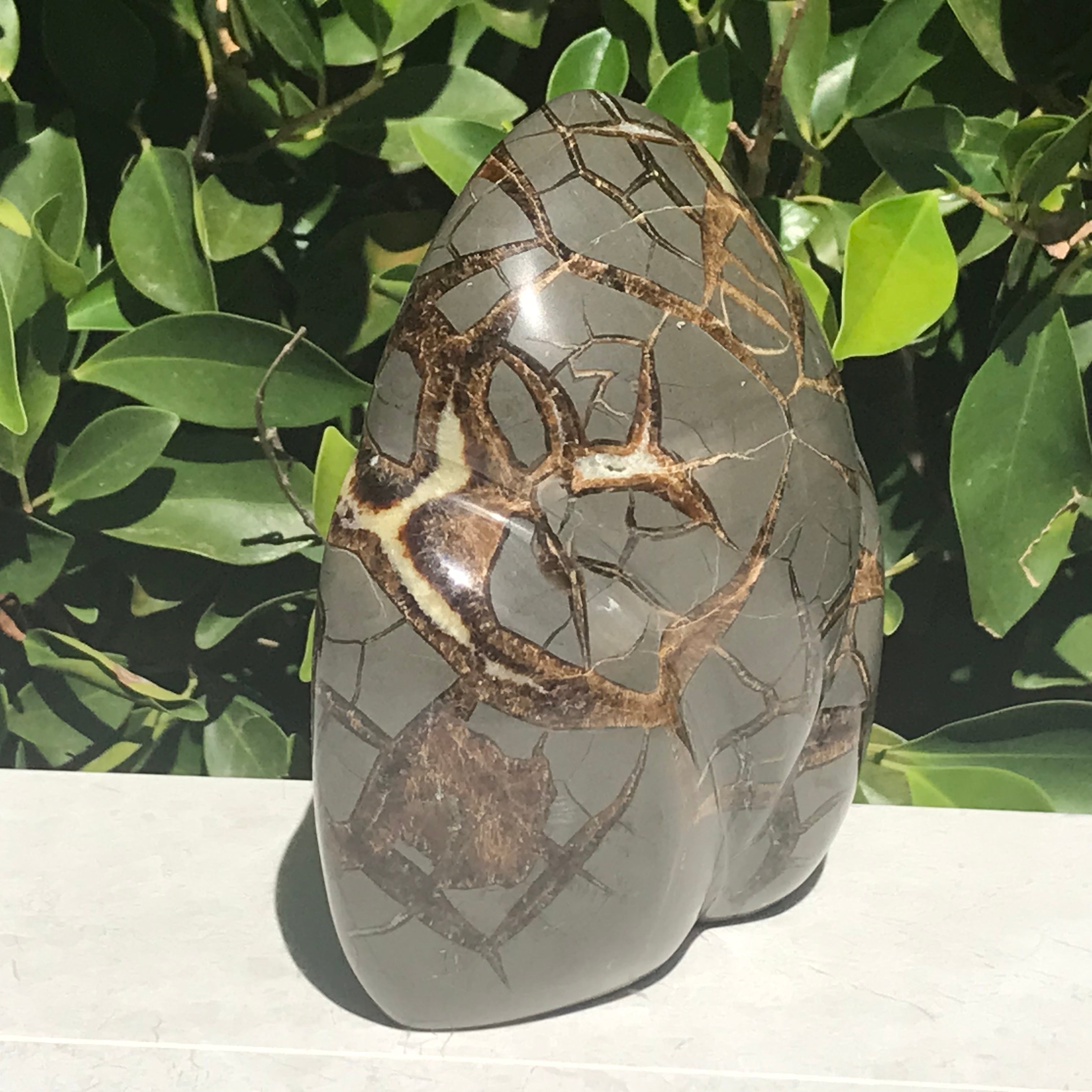 Septarian Geode
