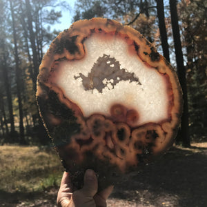 Crystal over Crystals Agate Slice