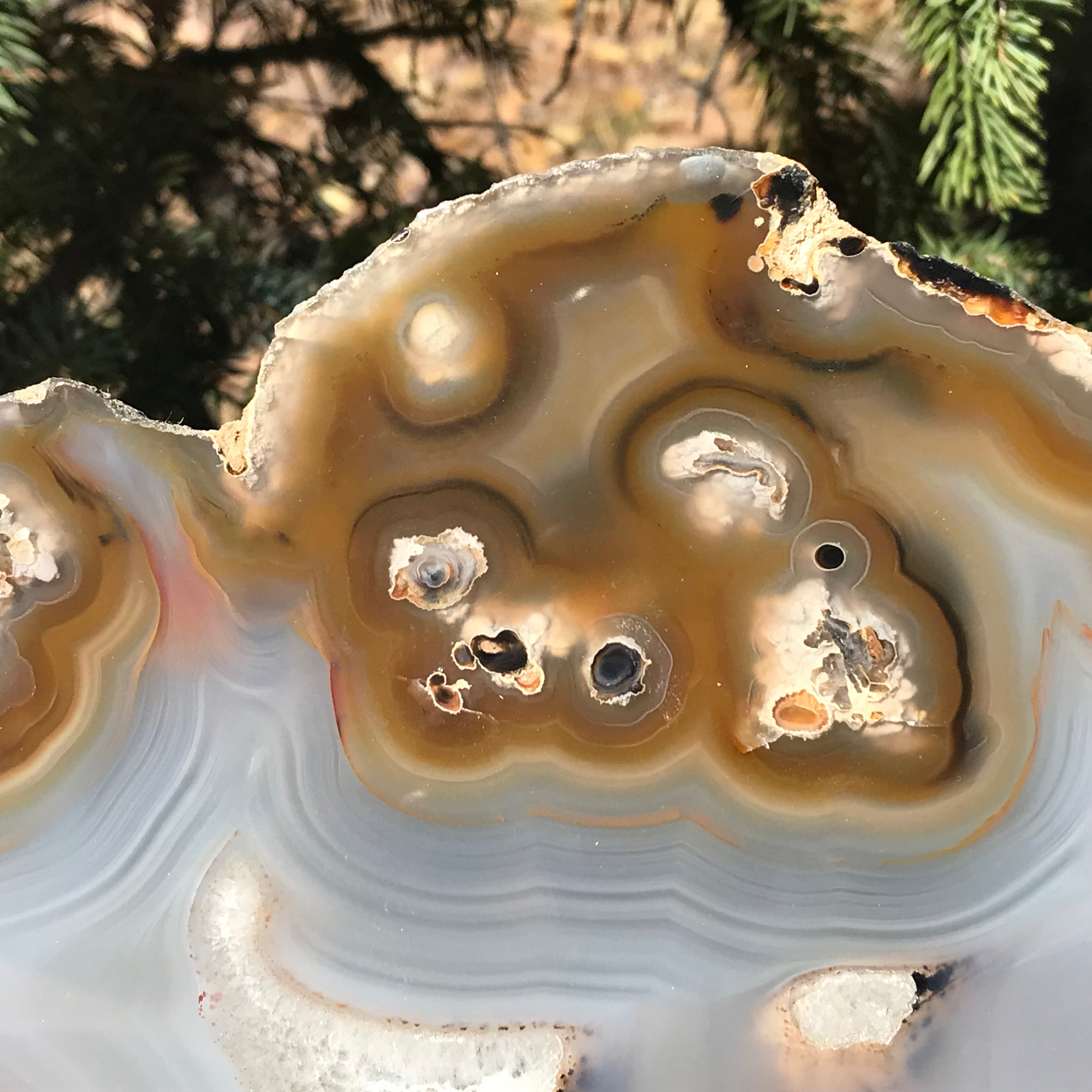 Radiant Brazilian Agate Slice