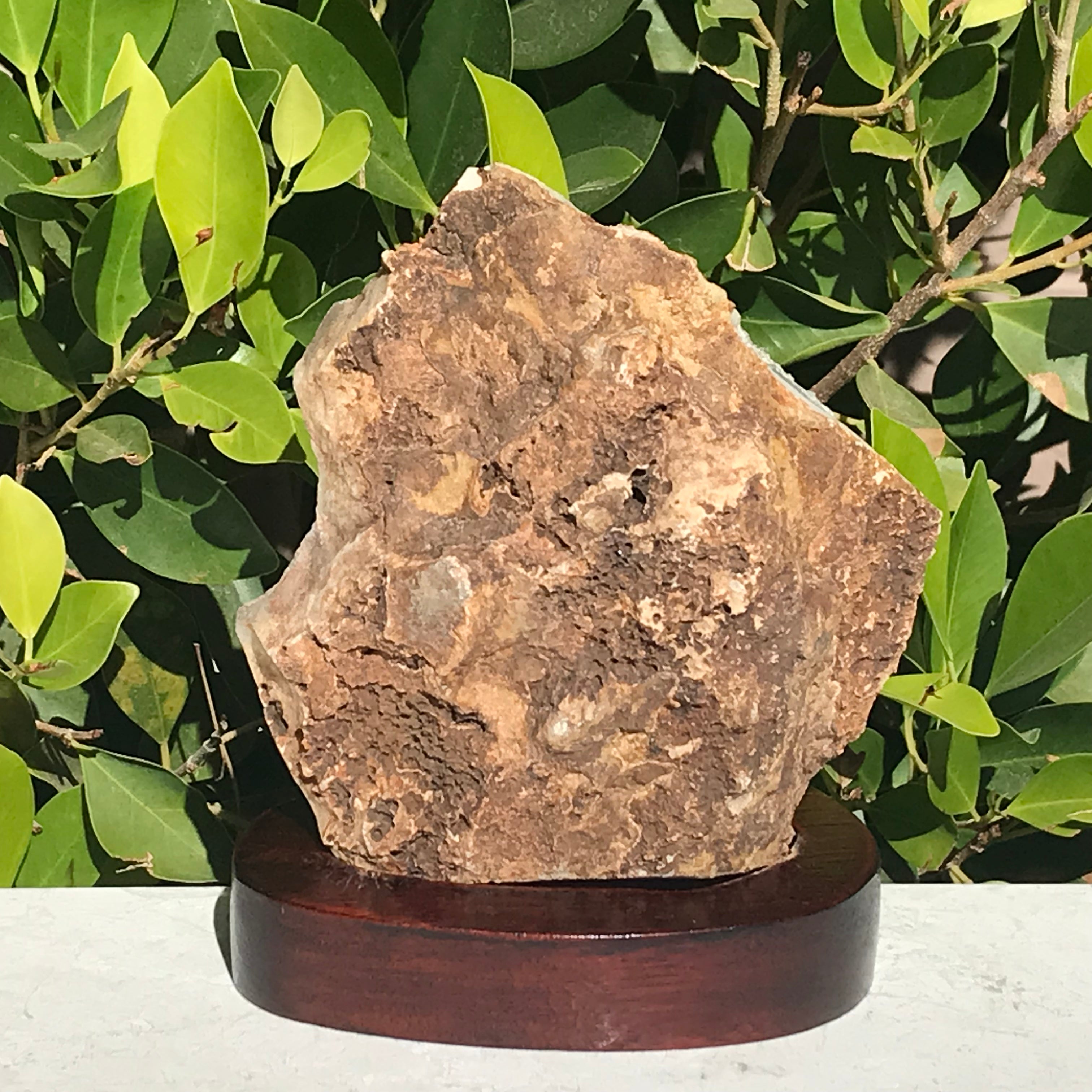 Single Green Eyed Agate Cluster