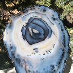 Prominent Floral-Like Eye Agate Slice.