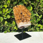 Goethite Speckled Brazilian Citrine Cluster