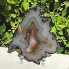 Myriad of Banding Agate Slice