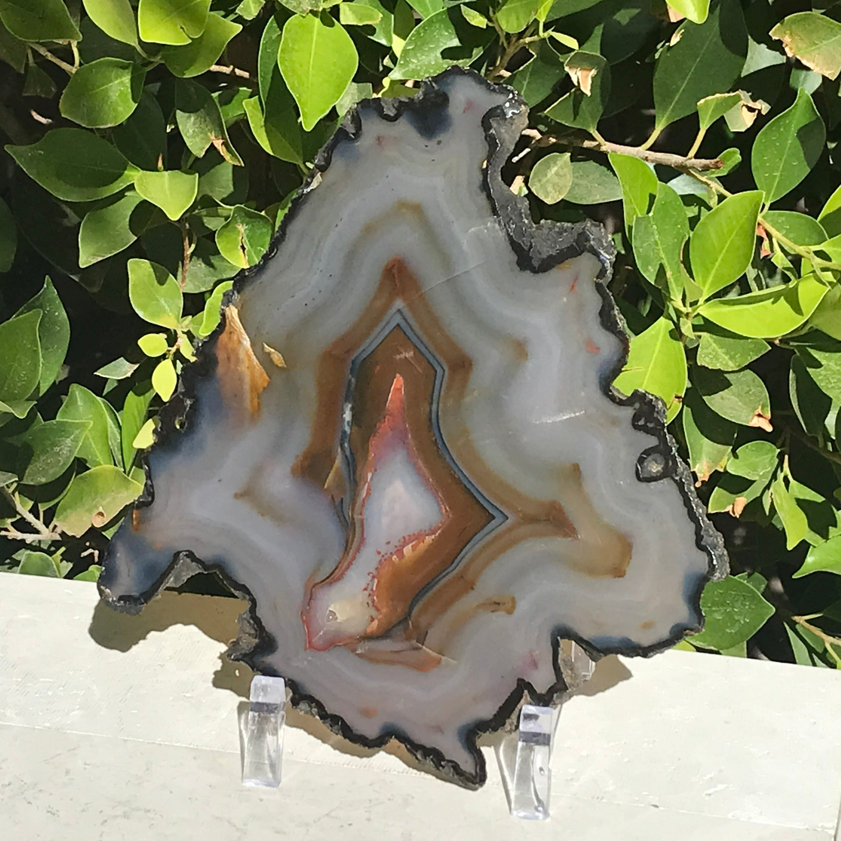 Myriad of Banding Agate Slice