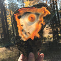 Orange Eyed Brazilian Agate Slice