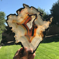 Myriad of Banding Agate Slice