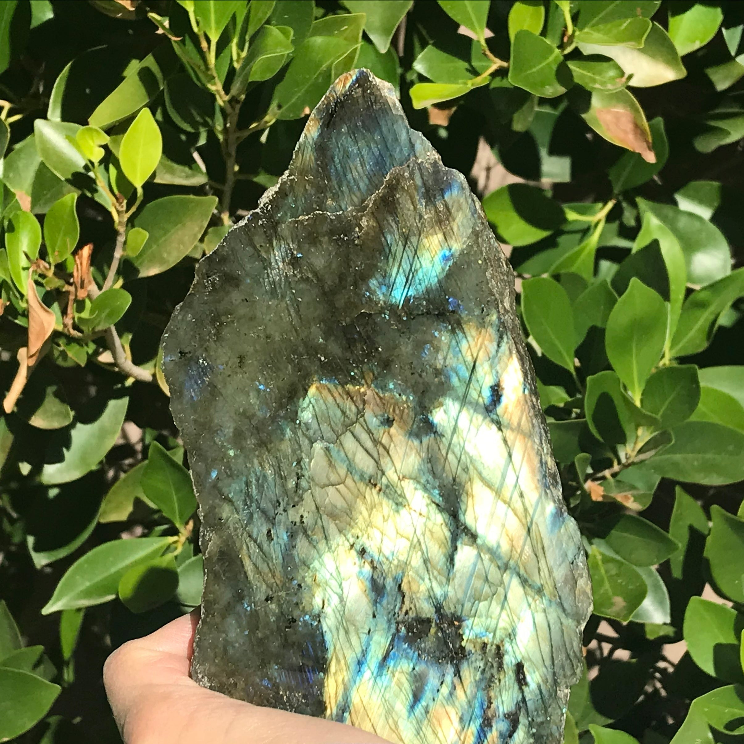Brilliant Labradorite Freeform