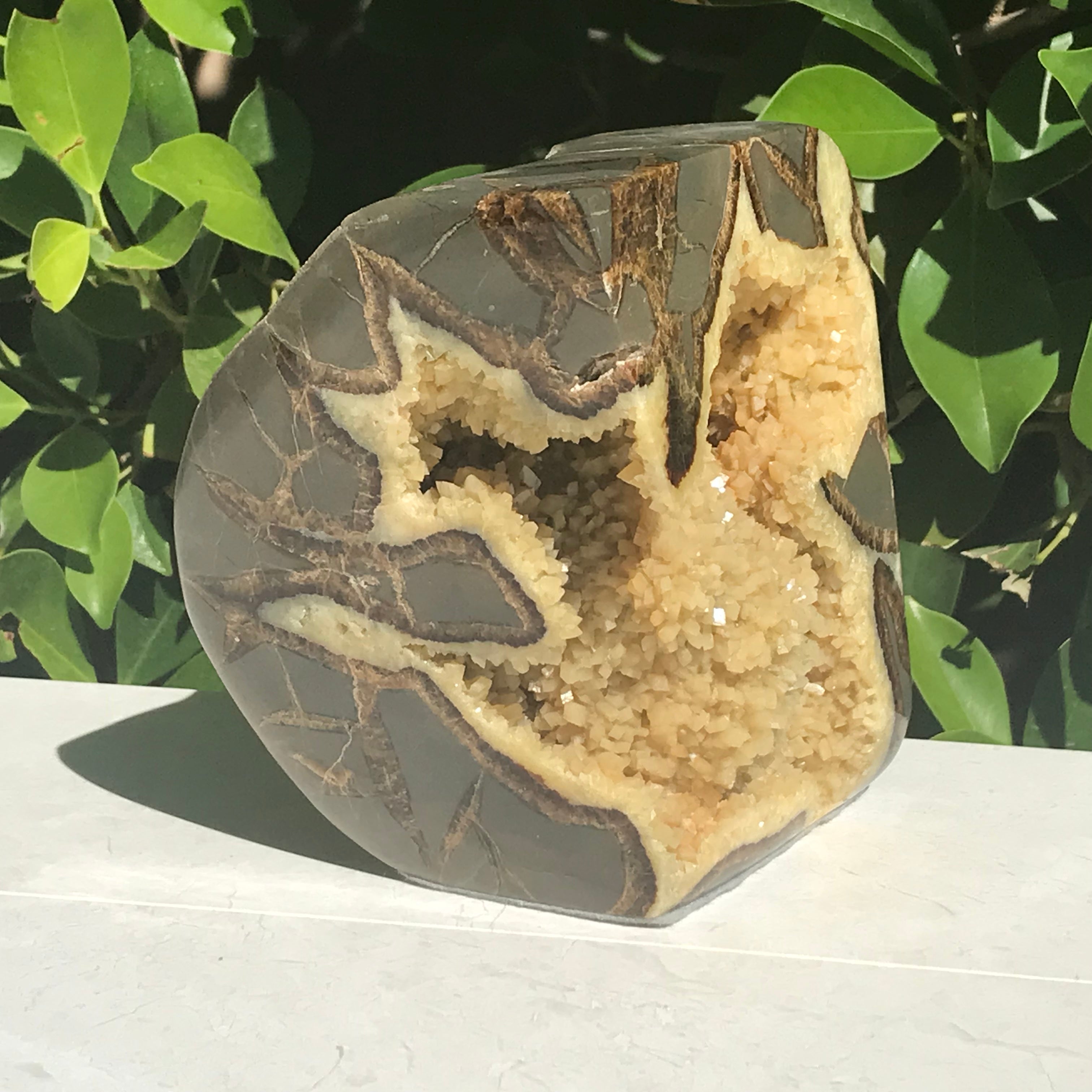 Polished Septarian Geode