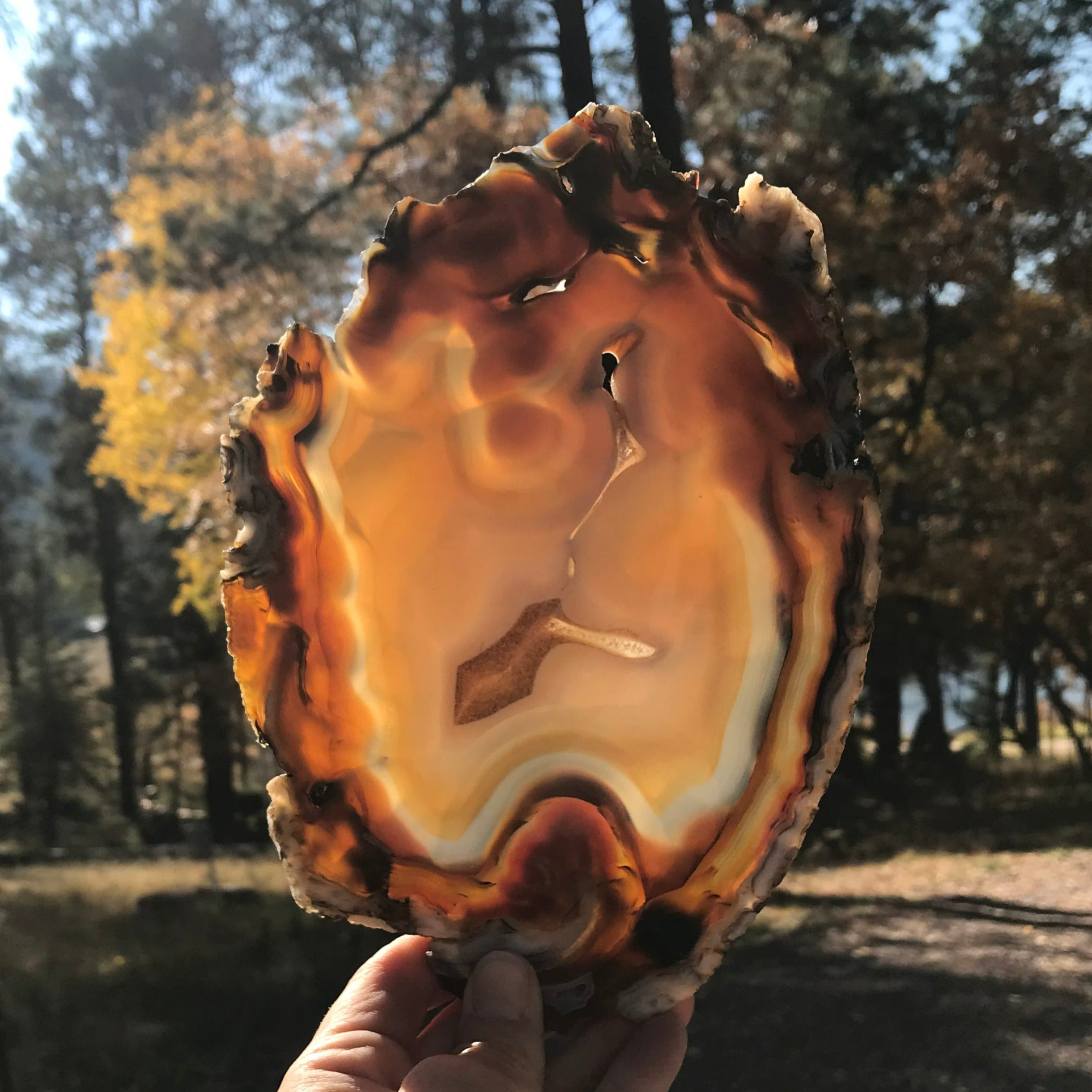 Abstract Agate Slice
