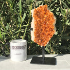 Standing Citrine Freeform