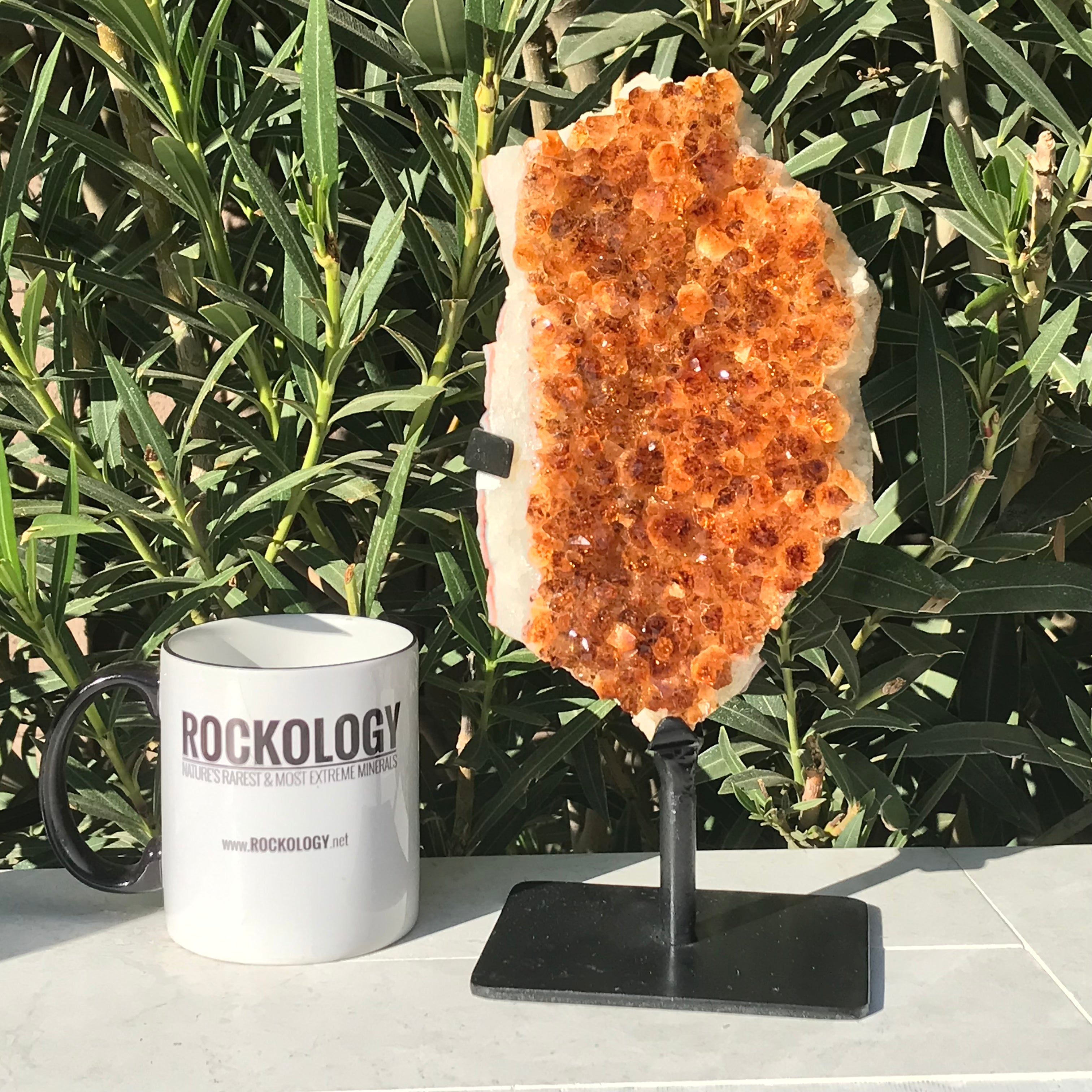 Standing Citrine Freeform