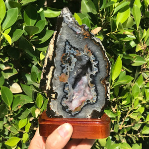 Colorful and Highly Detailed Agate Geode