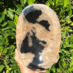 Polished Petrified Wood Bowl