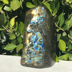 Intricate Patterned Labradorite Freeform