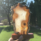 Glowing Brazilian Agate Slice