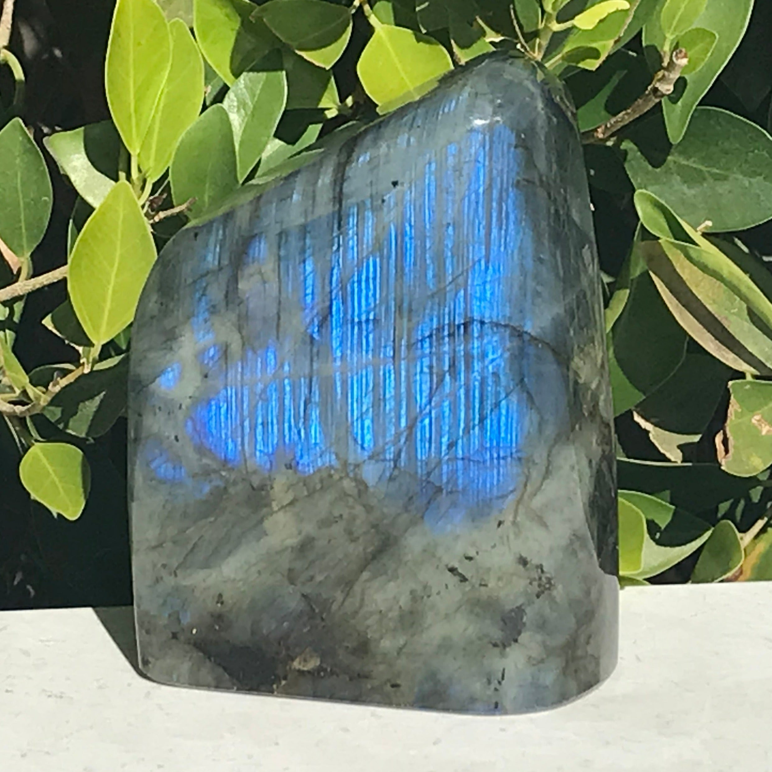 Bright Blue Labradorite Freeform