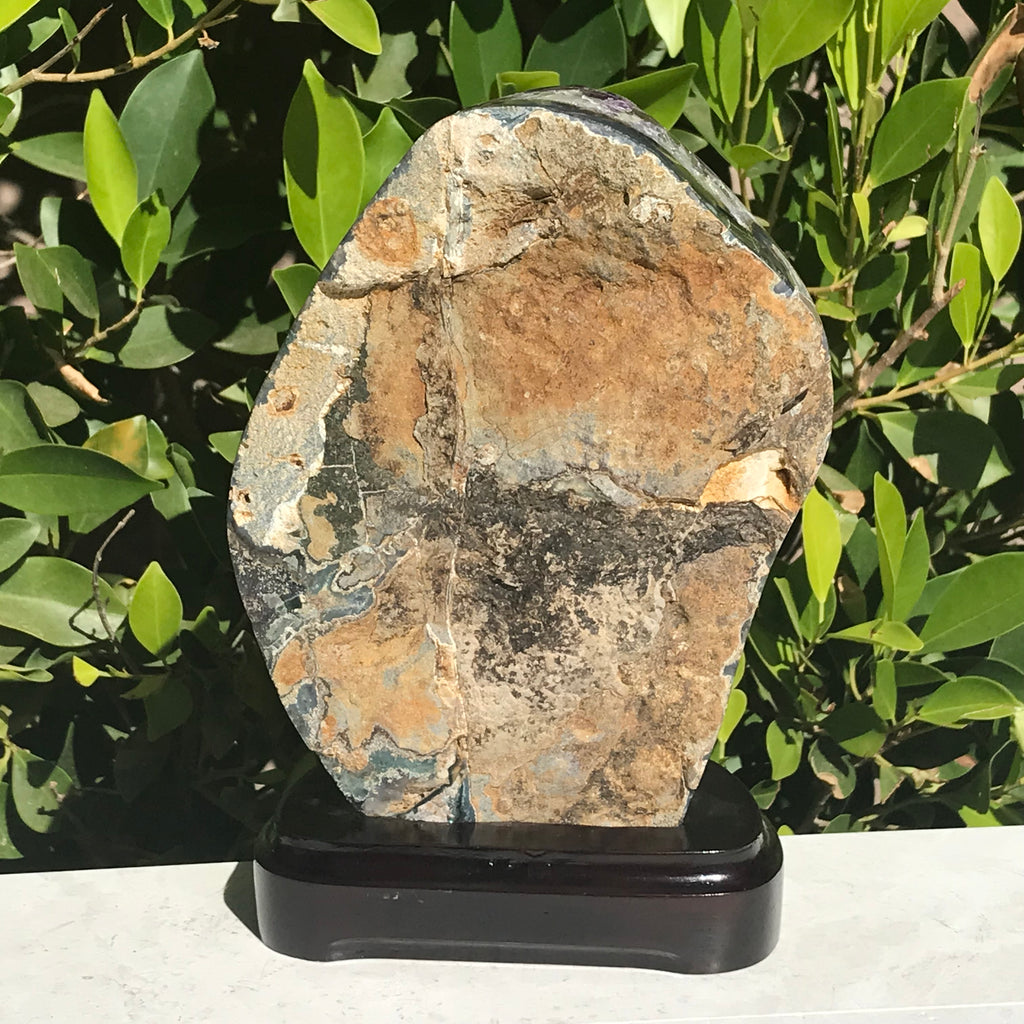 Single Eyed Amethyst Freeform