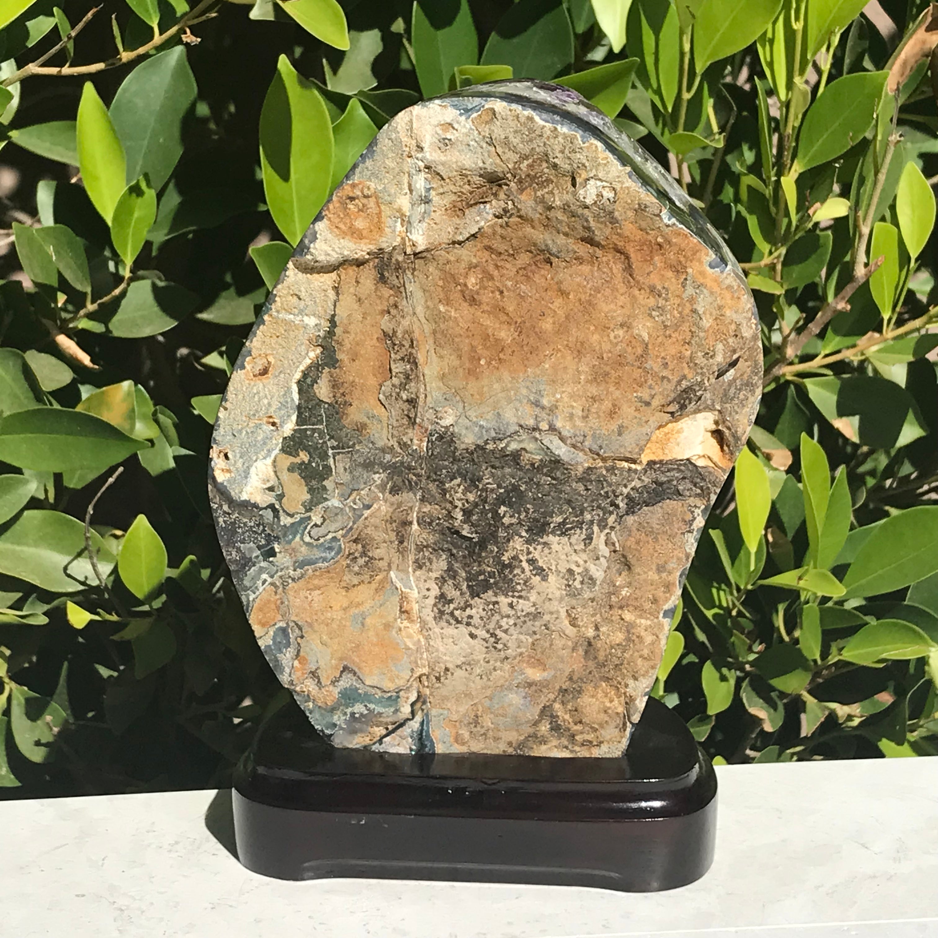 Single Eyed Amethyst Freeform