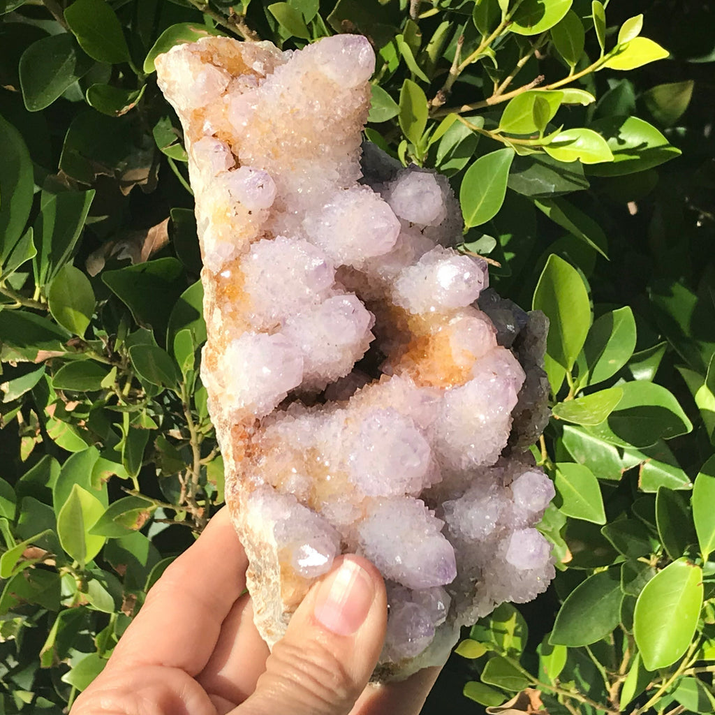 Quartz Crystal Topped Cactus Quartz Slab