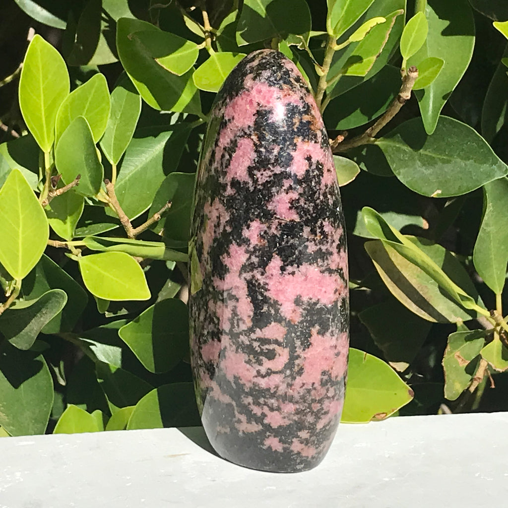 Black and Pink Rhodonite Nodule