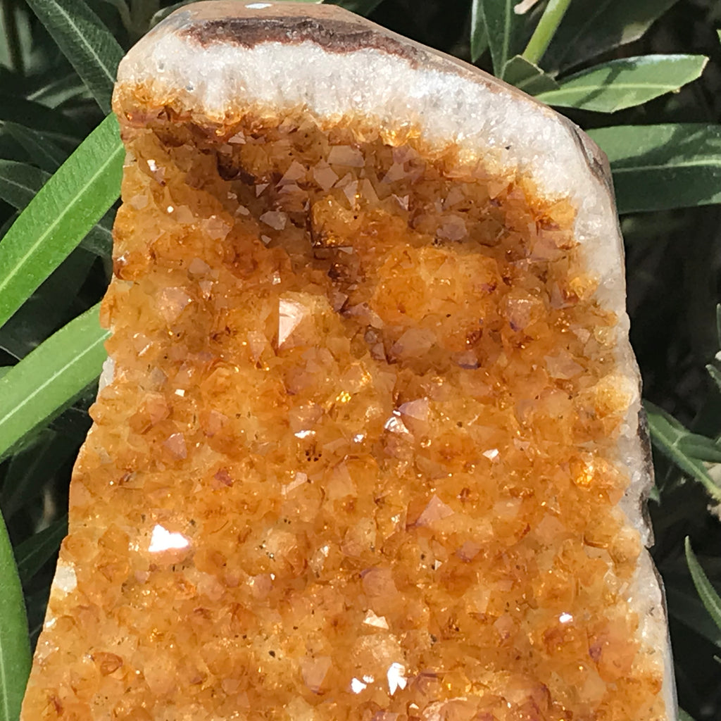 Glowing Citrine Crystal Cluster