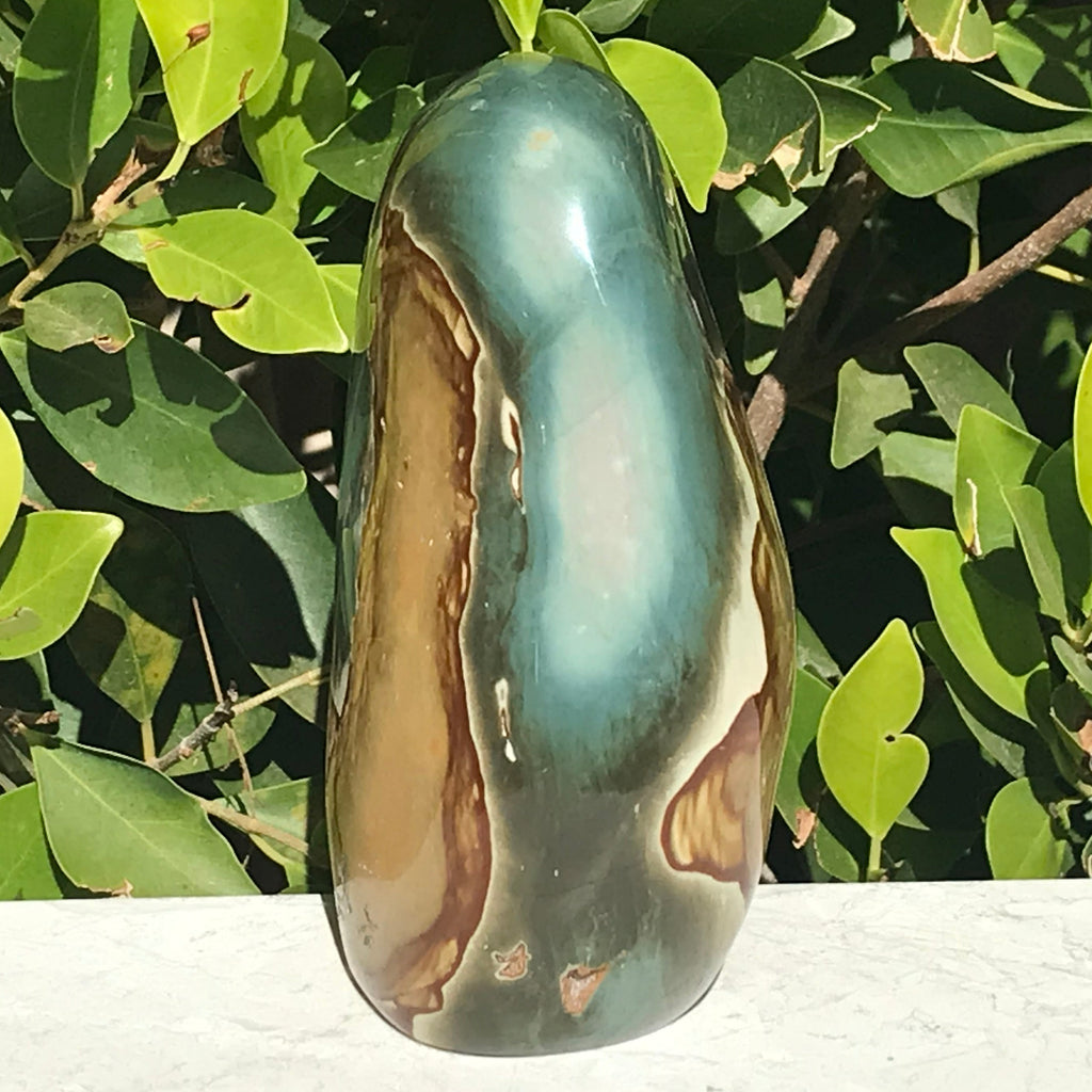 Polychrome Jasper Freeform