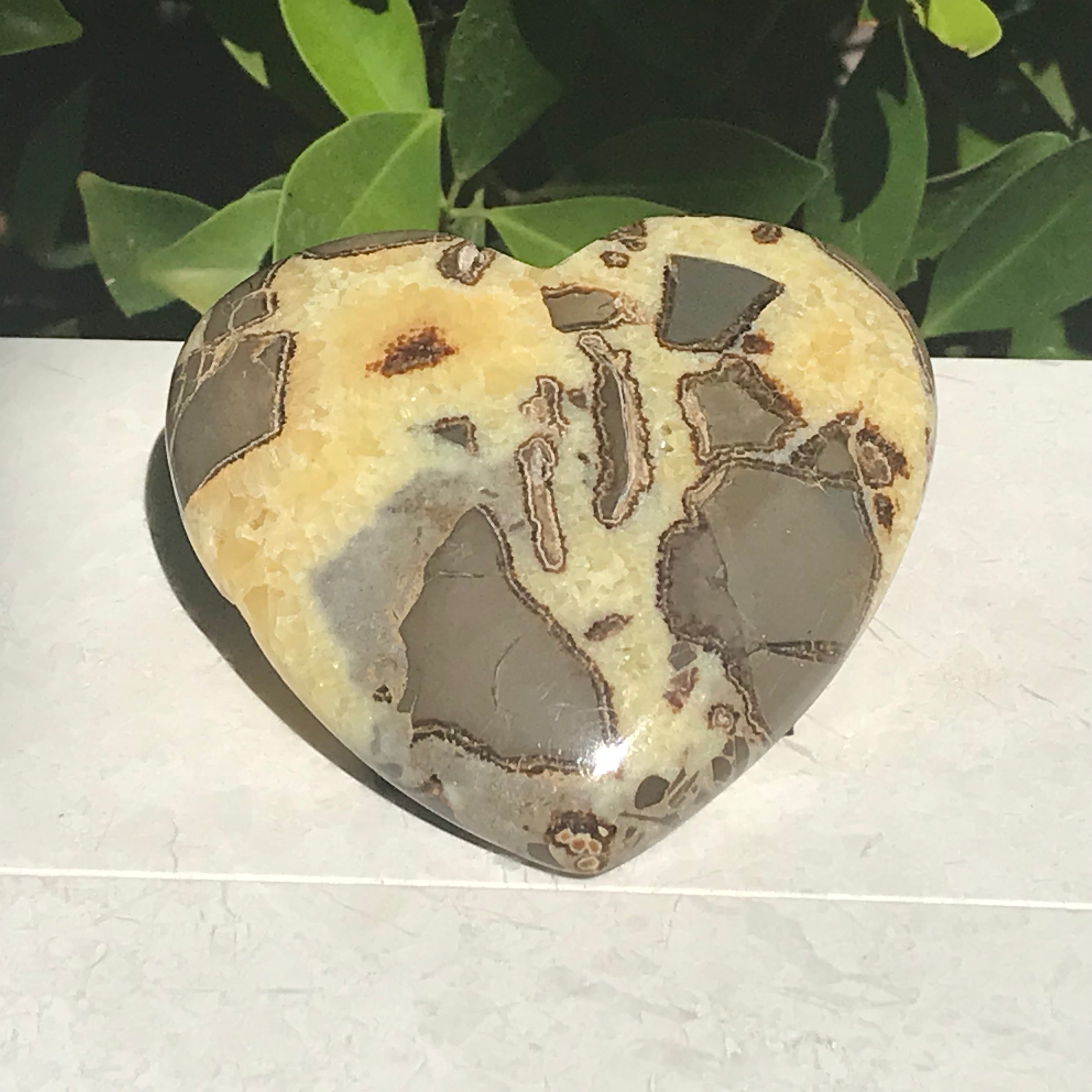 Double Sided Septarian Heart